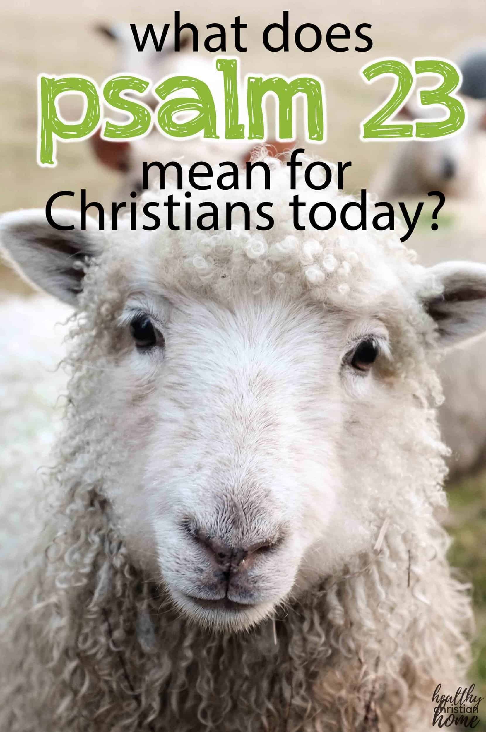 Um rosto de ovelha com texto sobre o Salmo 23's face with text overlay about "Psalm 23"