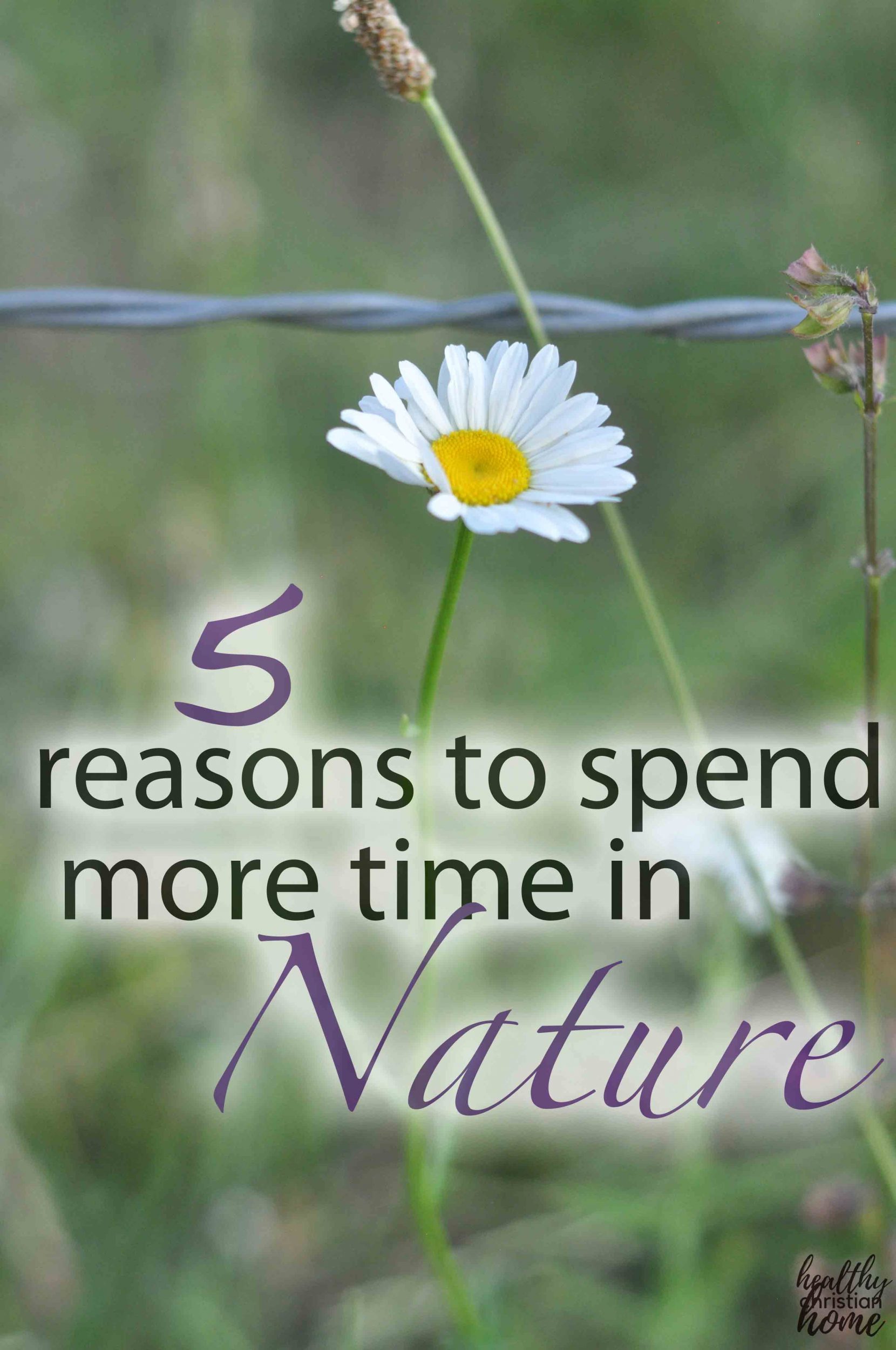 5 Health Benefits Of Nature That Will Inspire You To Get Off The Couch