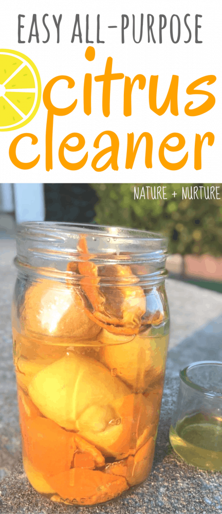 Making homemade citrus cleaner is simple. Make this super easy, effective cleaning vinegar to use in your kitchen, bath, and all over your home!