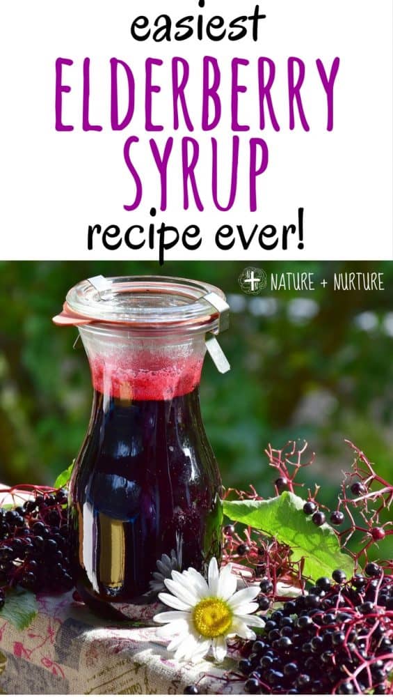 How to Make Elderberry Syrup Tutorial (the easy way) natural cold