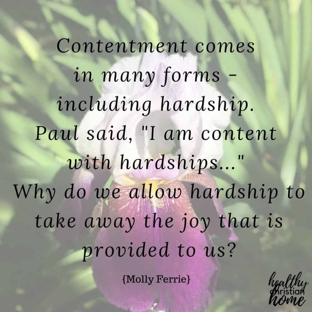 Christian contentment quote on a background photo of an iris flower.