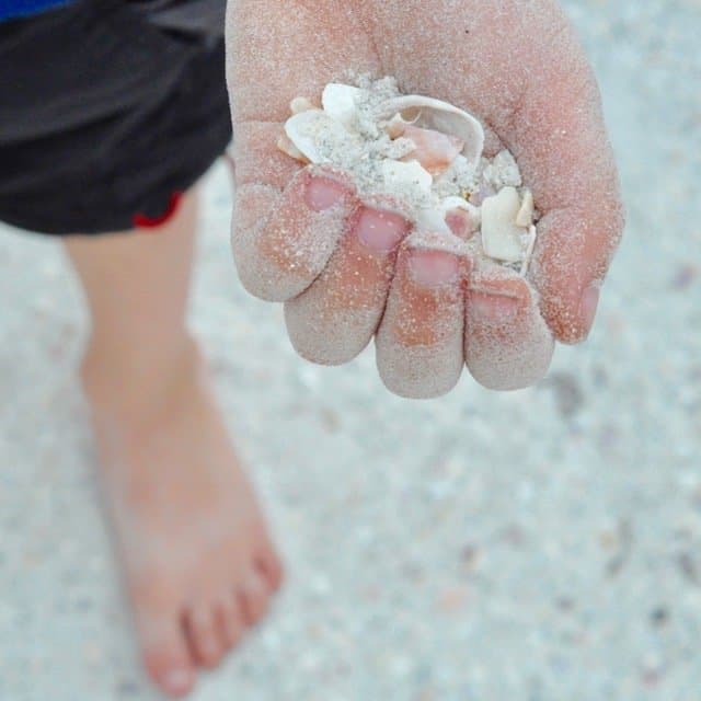 A boy with a handful of seashells.