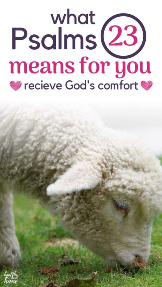 What Is The Psalm 23 Meaning Psalm 23 Explained Beautifully 