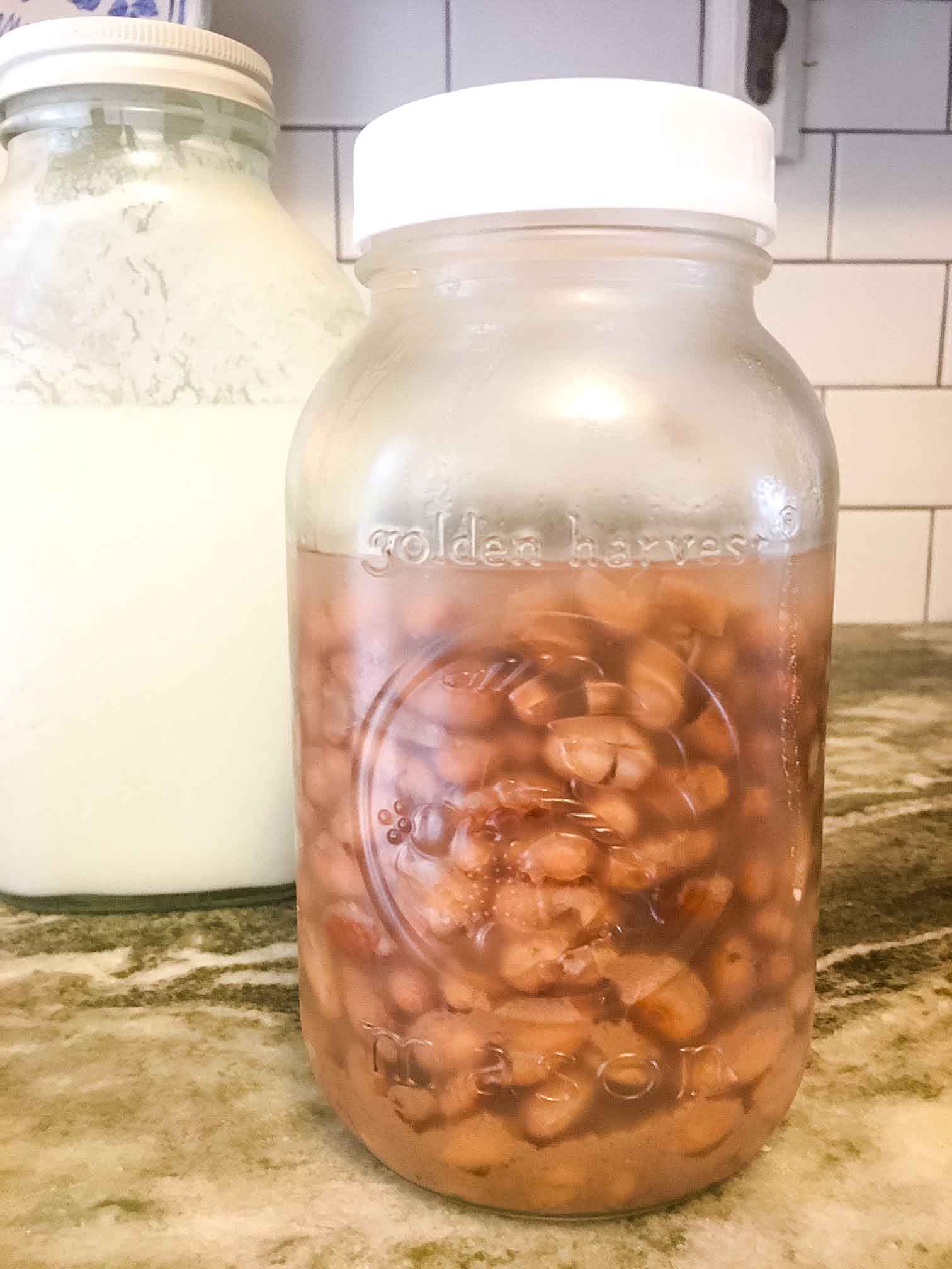 Soaked legumes in a large jar, which are a cornerstone of the Weston A Price Diet.