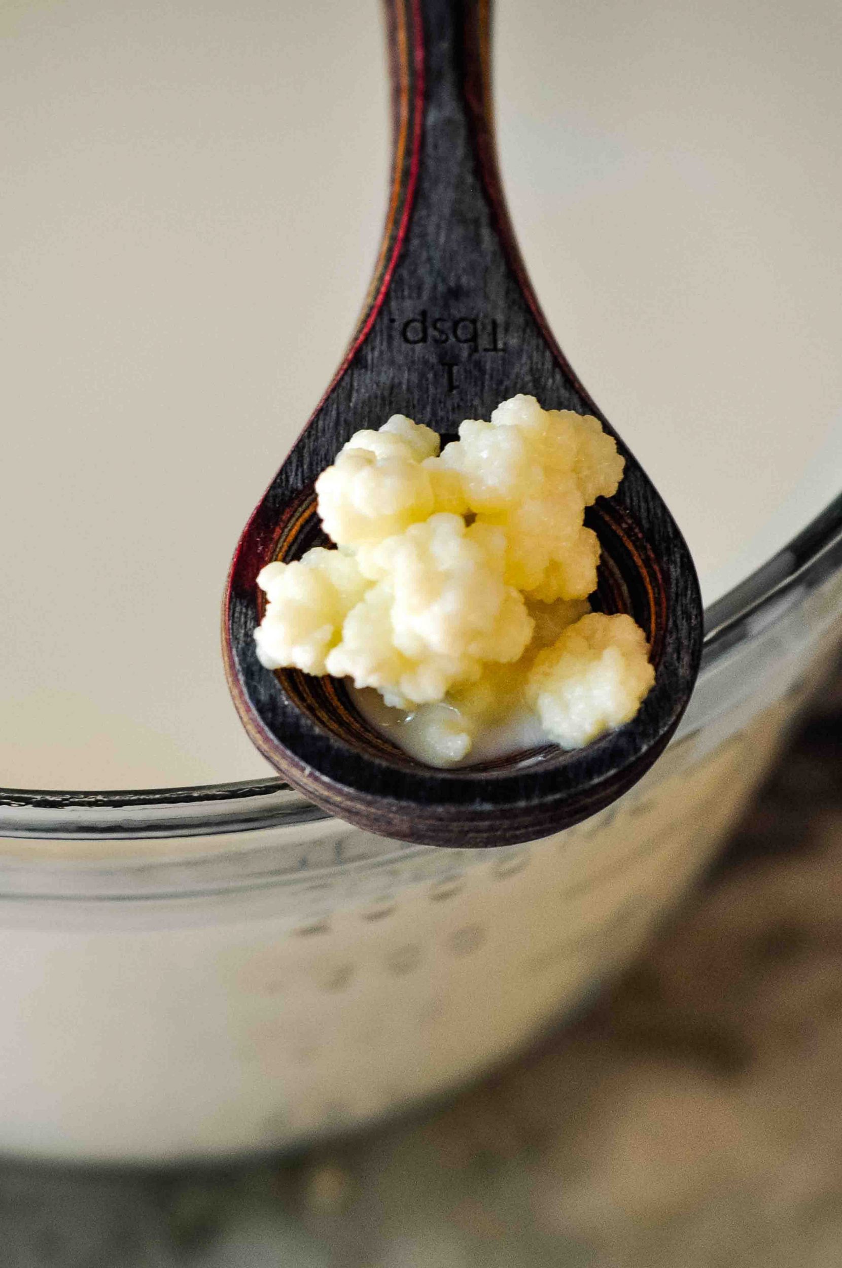 9 Ways to Grow Milk Kefir Grains faster - Yemoos Nourishing Cultures