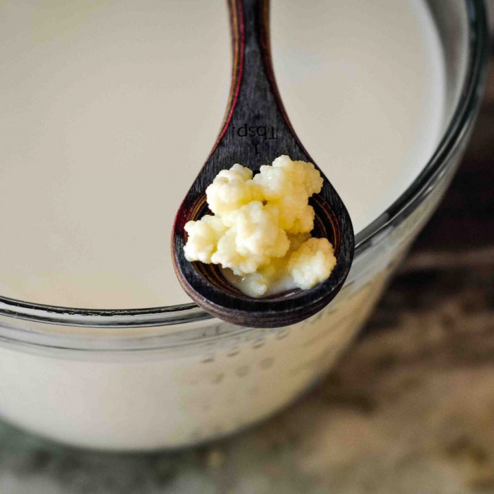 Fresh Kefir Grains/Recipe