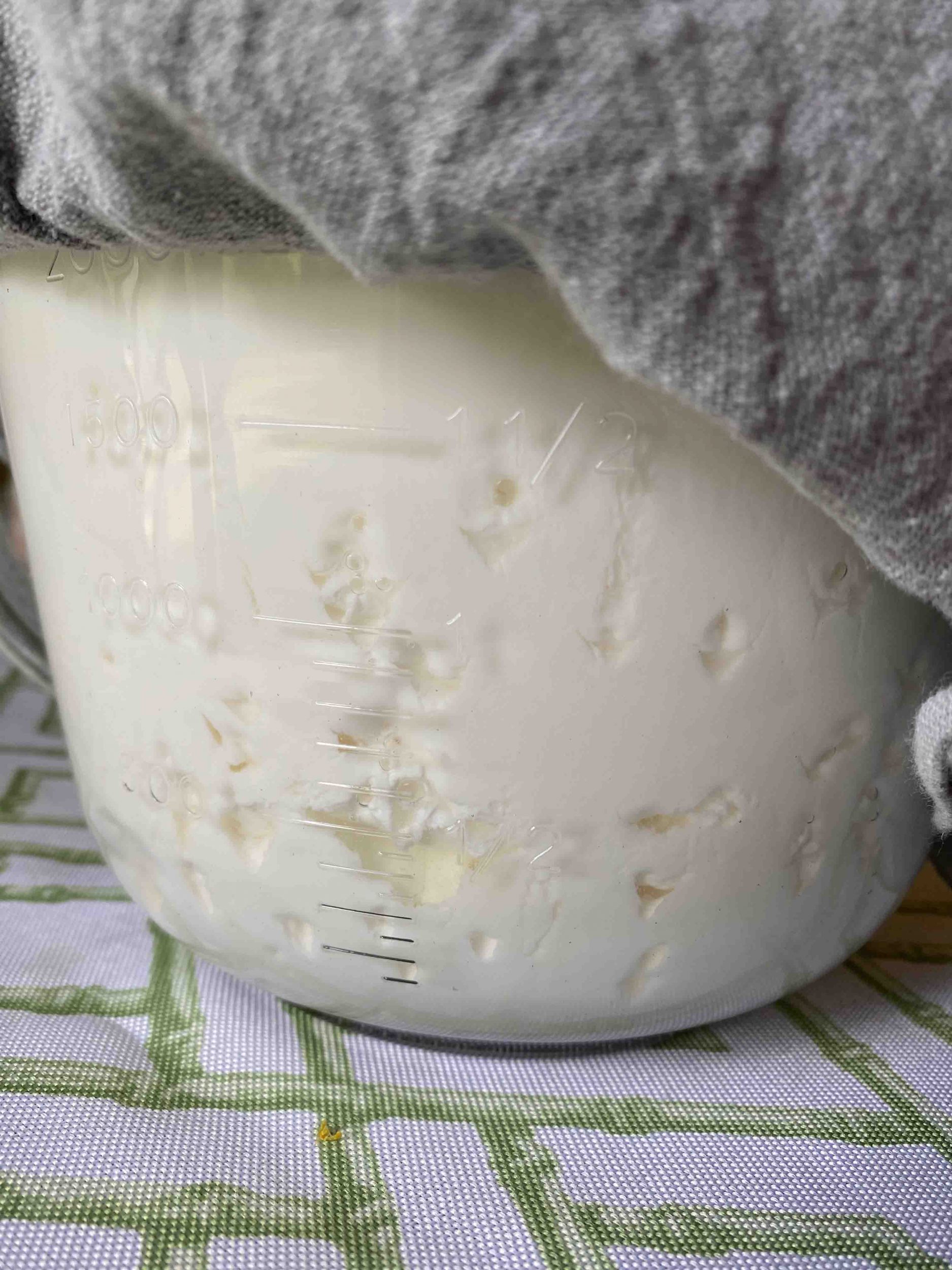 The Ultimate Guide to How to Make Kefir at Home - Whole Natural Life