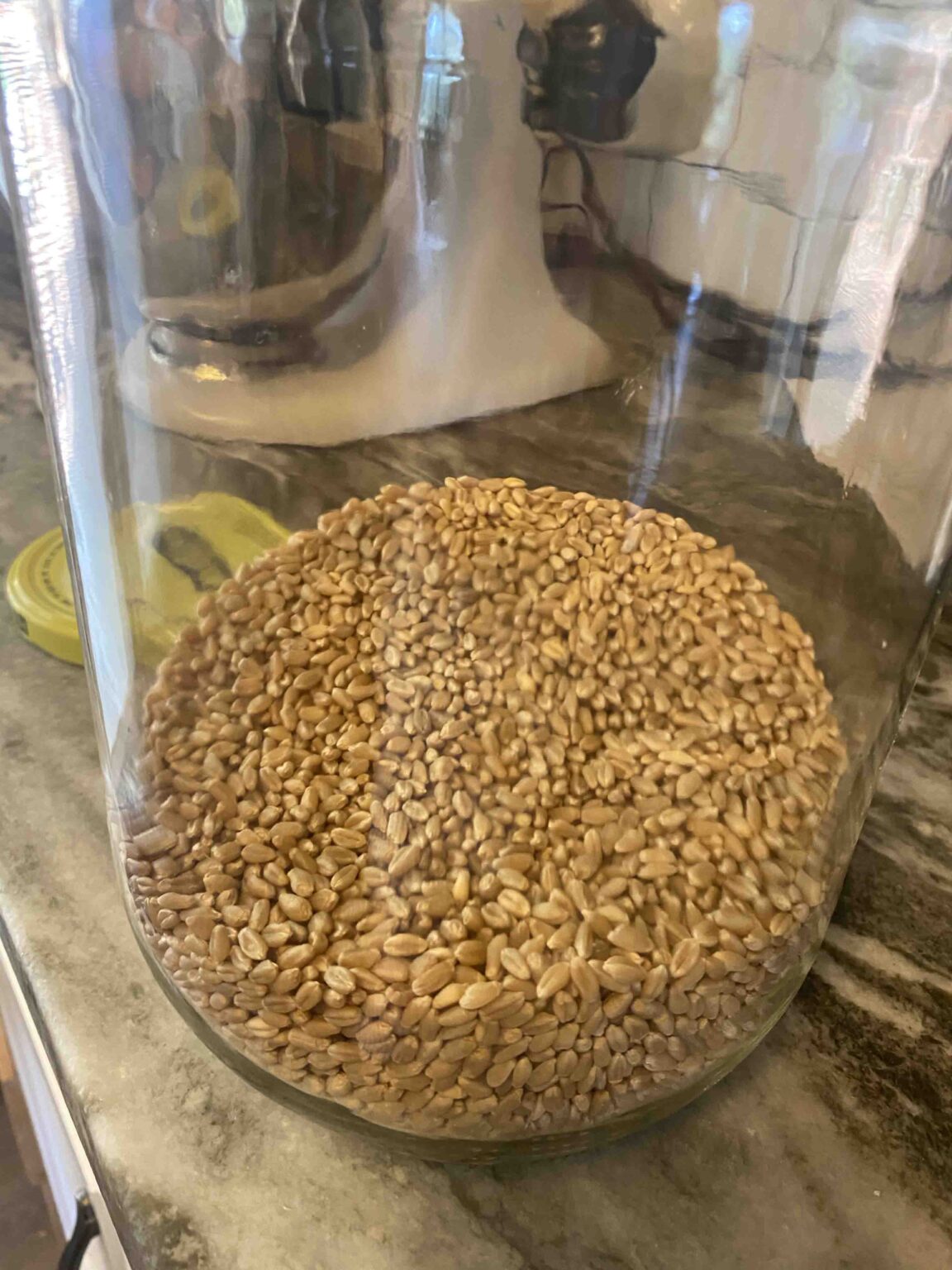 wheatberries Healthy Christian Home