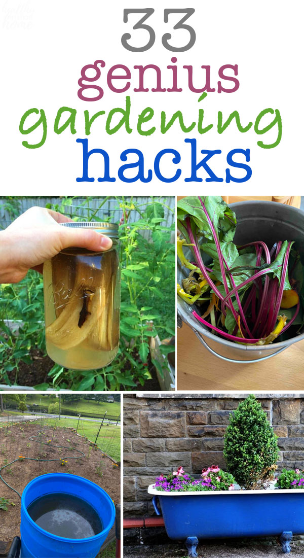 2 Garden Hose Hacks - Don't Snap Your Tomato or Other Plants With