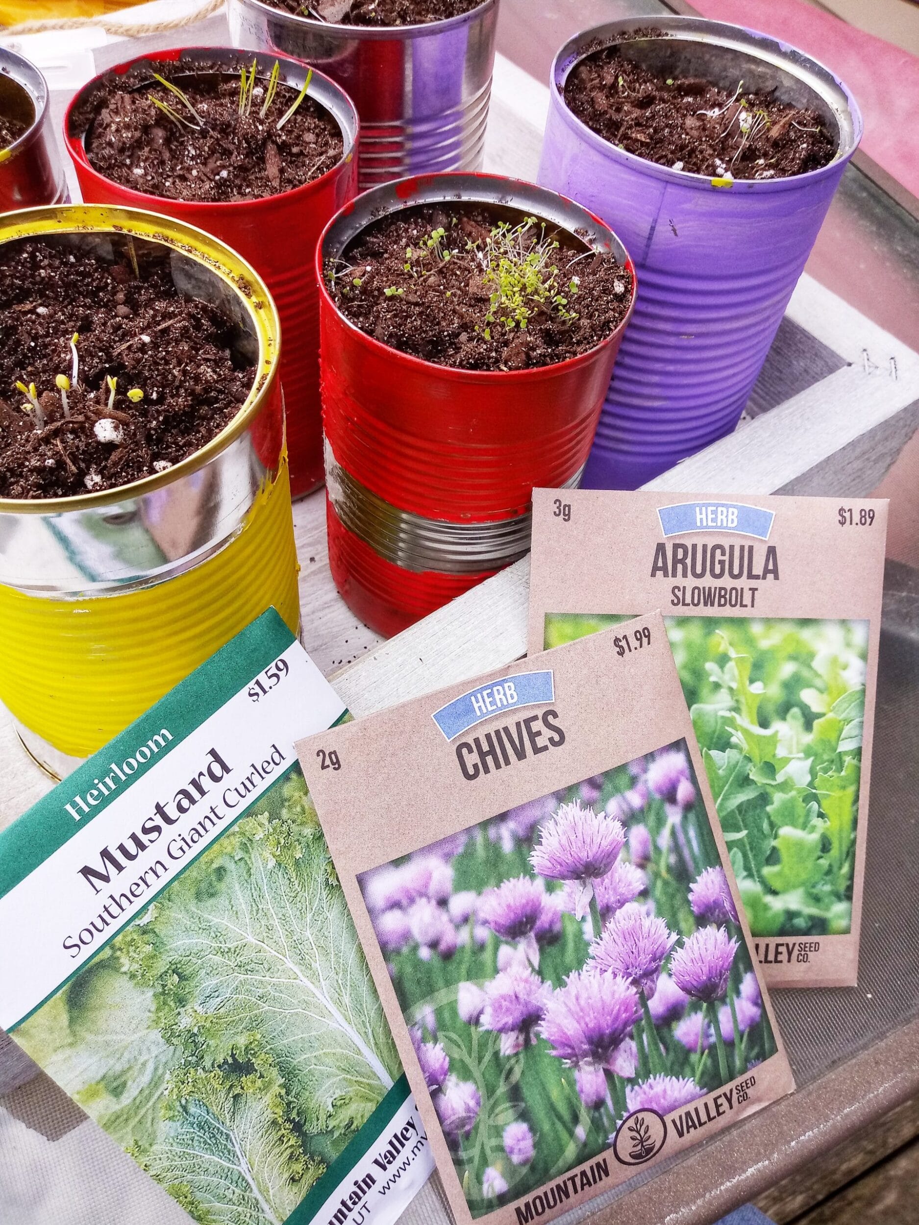 29 Gardening Hacks and Tips Anyone Can Use