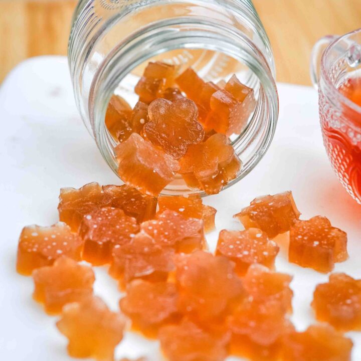 Kombucha Gummies