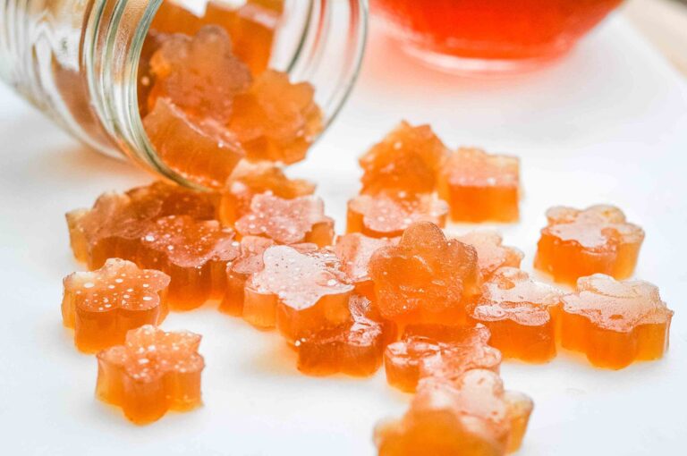 Kombucha Gummies {probiotic, gut-healing treat} - Healthy Christian Home