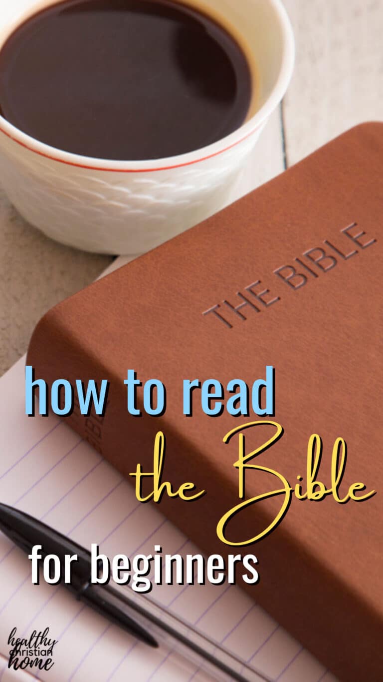 How to Read the Bible (best tips for beginners!)