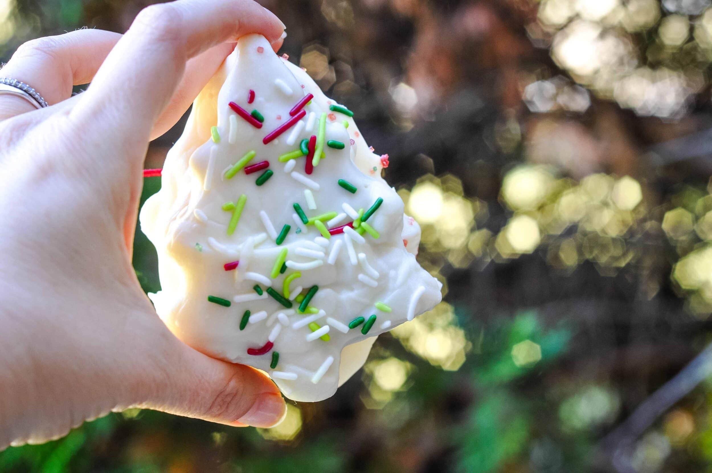 Person's hand holding a Christmas tree cake.