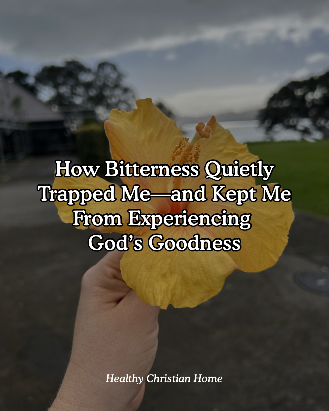 Woman's hand holding a flower with title text - how bitterness trapped me and kept me from experiencing God's goodness.